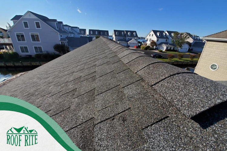 quality roof repair in Ocean View