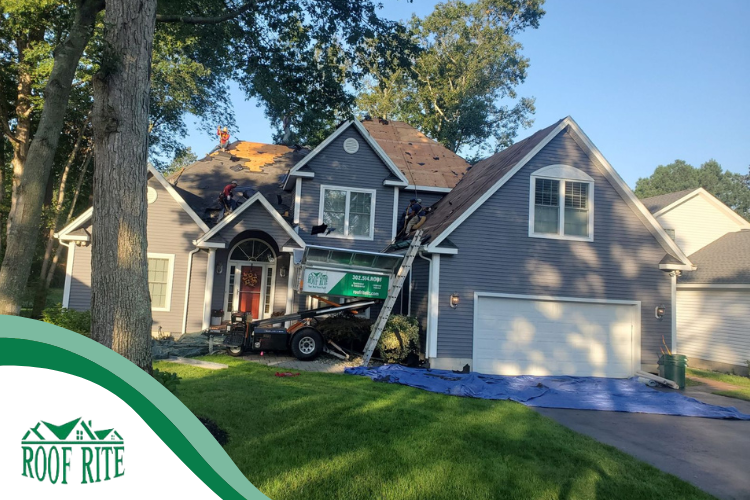 rehoboth beach roofer