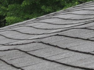 Do you need Professional roof repair services in Dagsboro, Delaware?