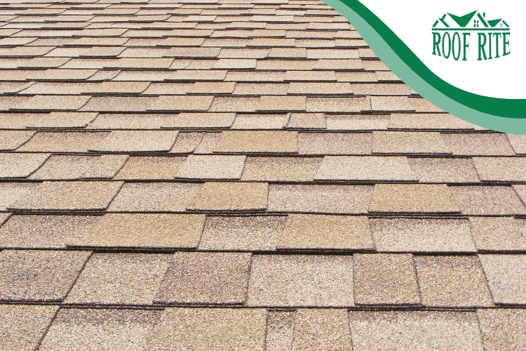 A clean and repaired roof by a local Milford roofer