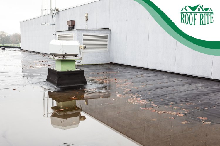 Ponding water on a commercial roof