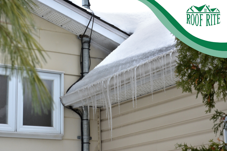 Icicles hanging from a gutter in Rehoboth Beach, a classic sign of ice dam formation.