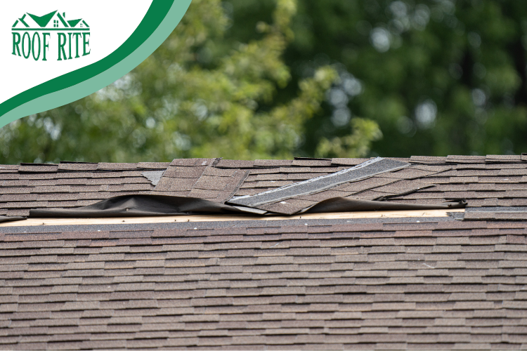 Roof Rite LLC team assessing hail damage on a Bethany Beach home.