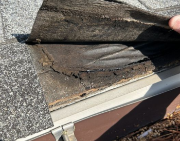 Checking shingles for damage in Ocean View