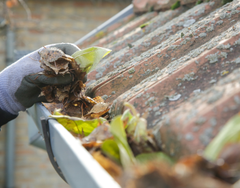 Cleaning gutters on a Bethany Beach home