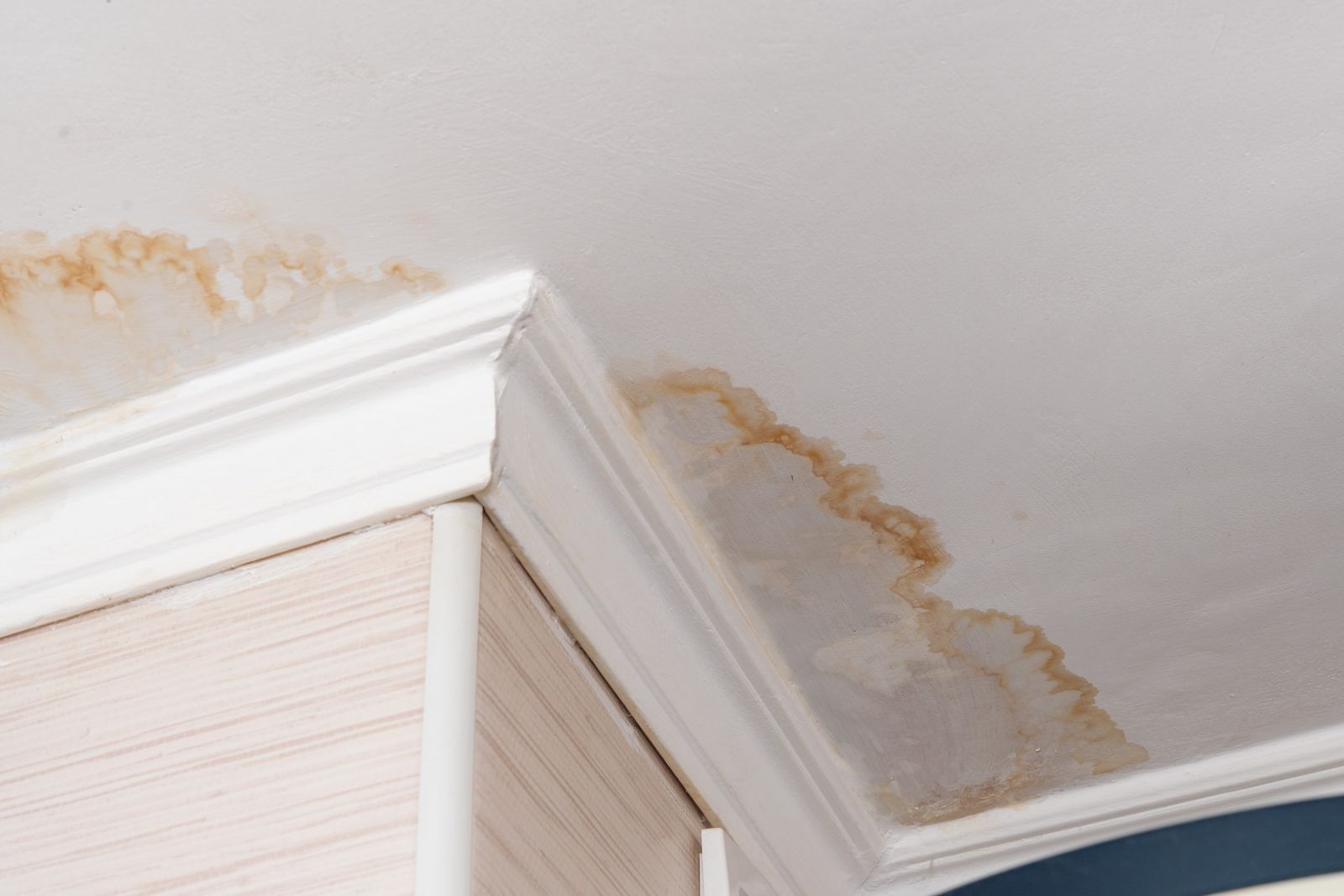 Roof Rite Images